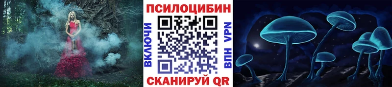 что такое   Олонец  Галлюциногенные грибы мицелий 